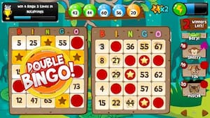 Neden çevrimiçi bingo oynamalı